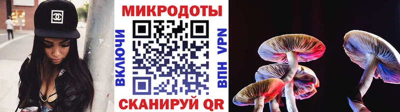 Галлюциногенные грибы прущие грибы  Трубчевск 